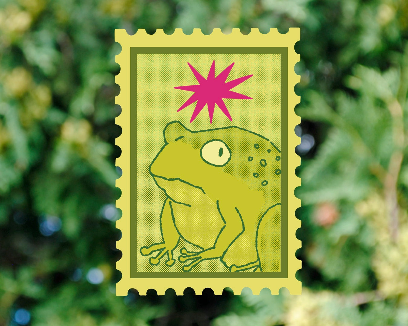 Frog Stamp - Vinyl Sticker