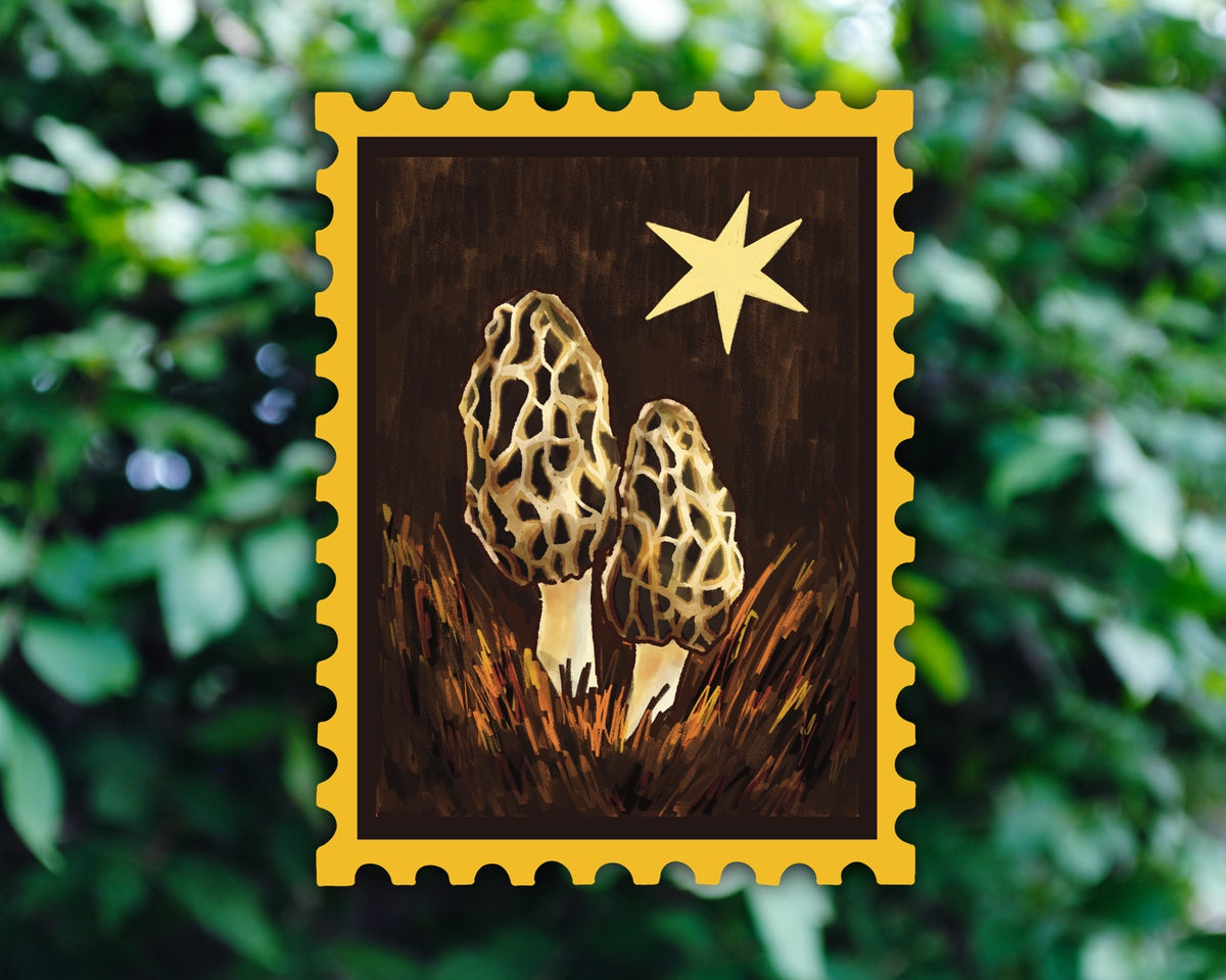 Morel Mushroom Stamp - Vinyl Sticker
