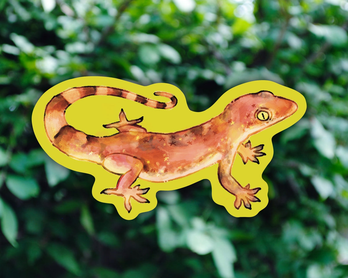 Gecko - Vinyl Sticker
