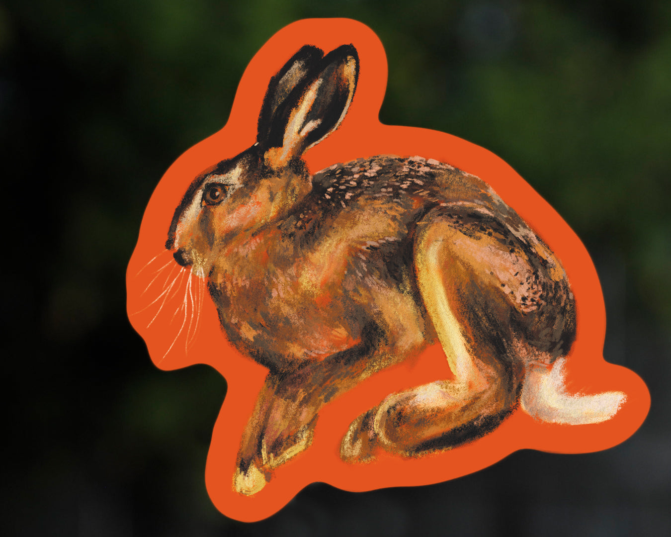 Hare - Vinyl Sticker