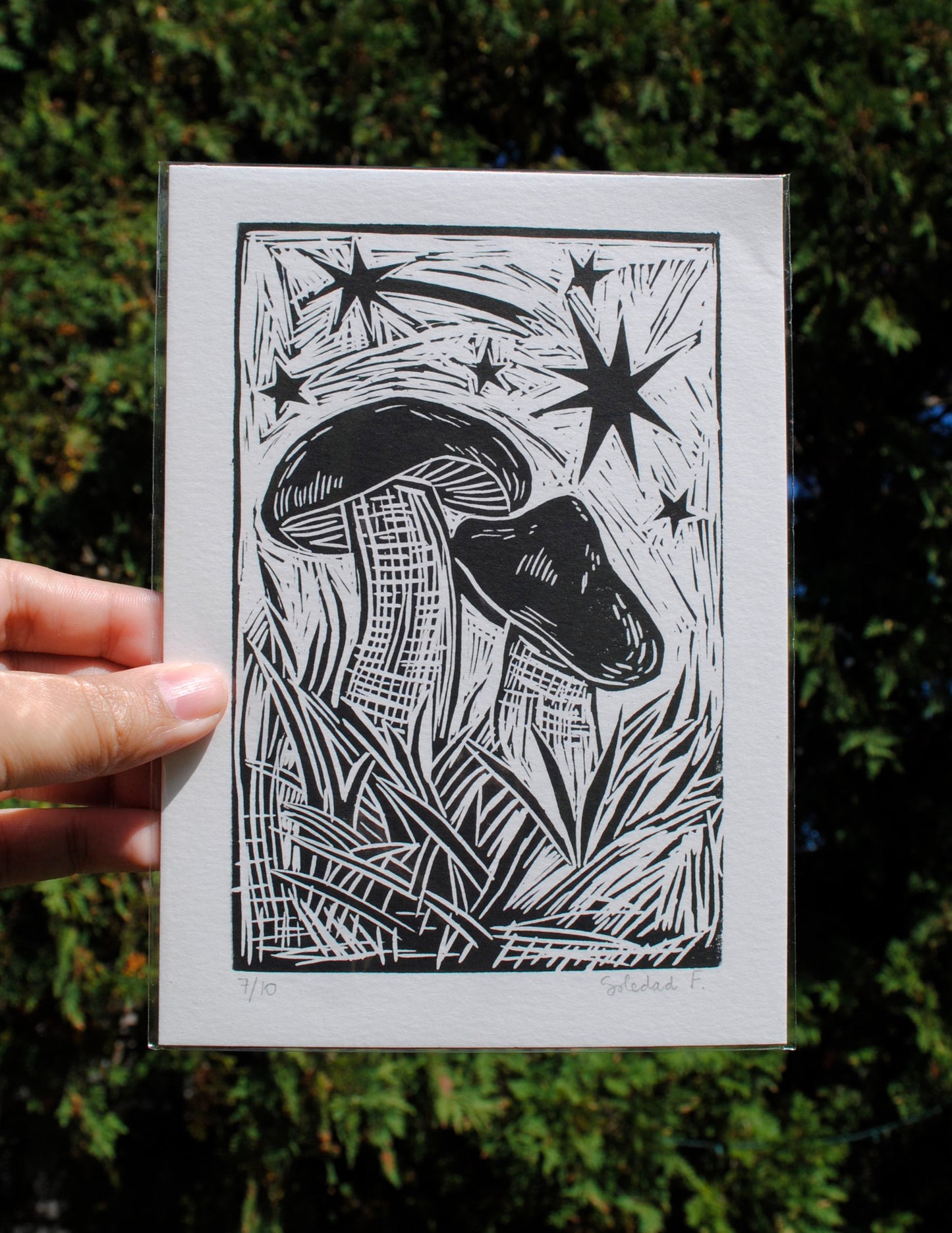 Mushrooms - Linocut Print