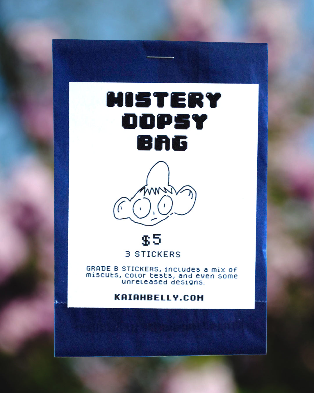 Mystery Oopsy Bag