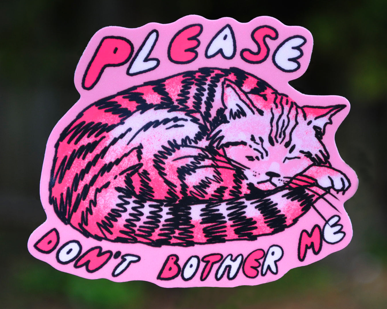 Please Don't Bother Me - Vinyl sticker
