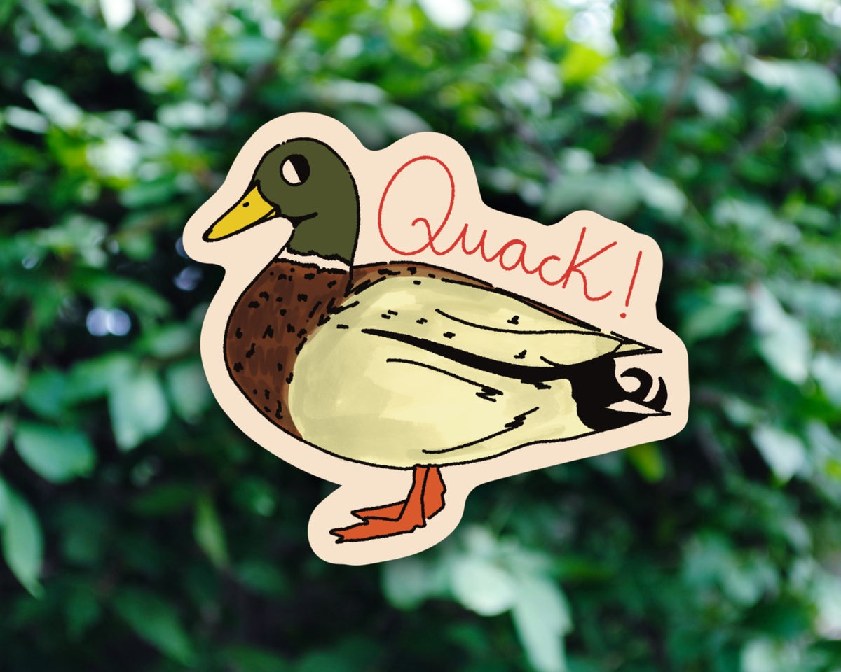 Duck - Vinyl Sticker