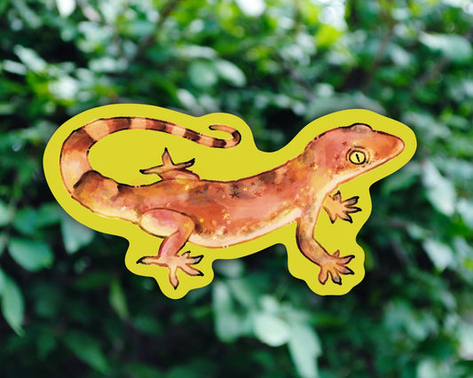 Gecko - Vinyl Sticker