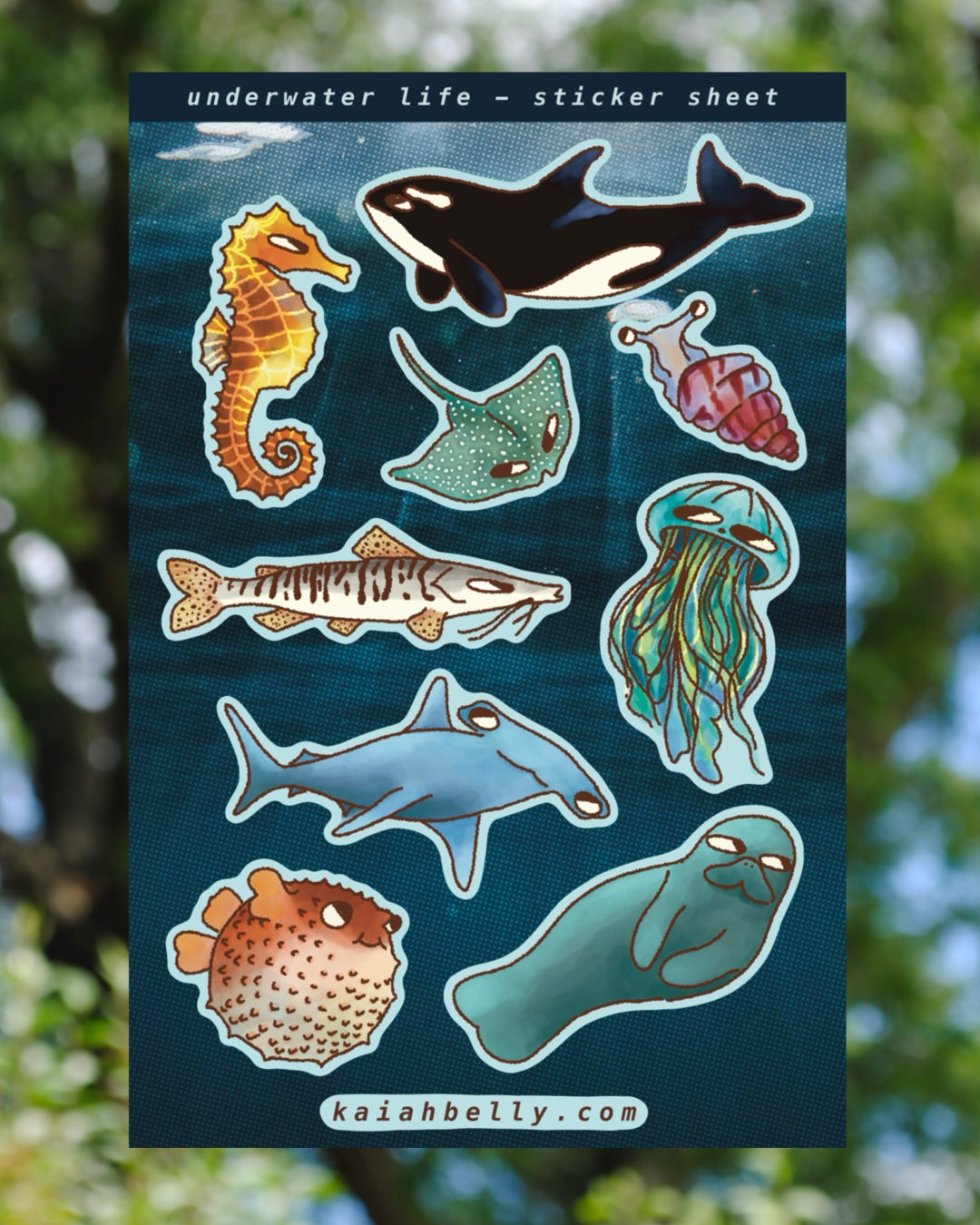 Underwater Life - Sticker Sheet