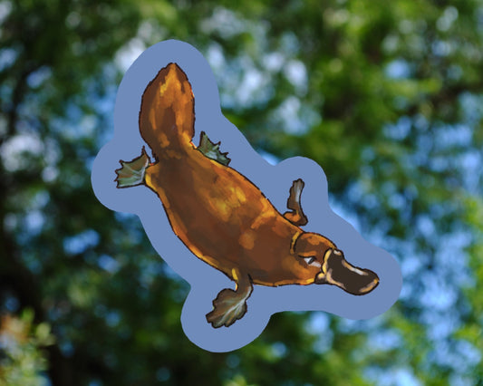 Platypus - Vinyl Sticker