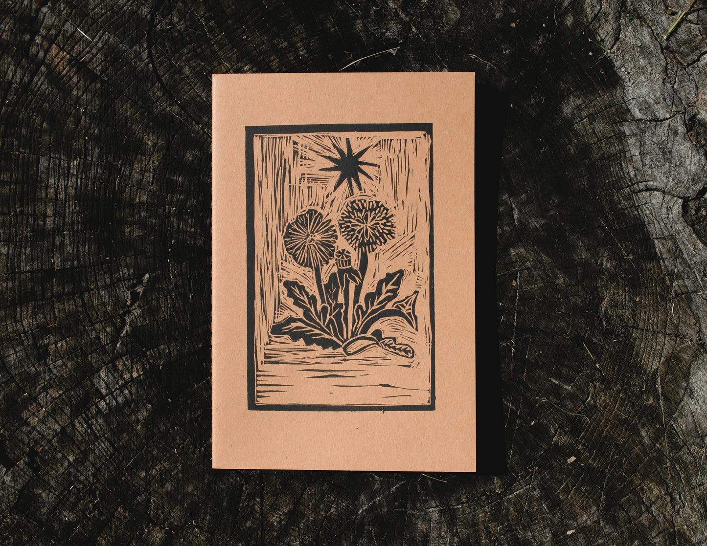 Dandelion - Notebook