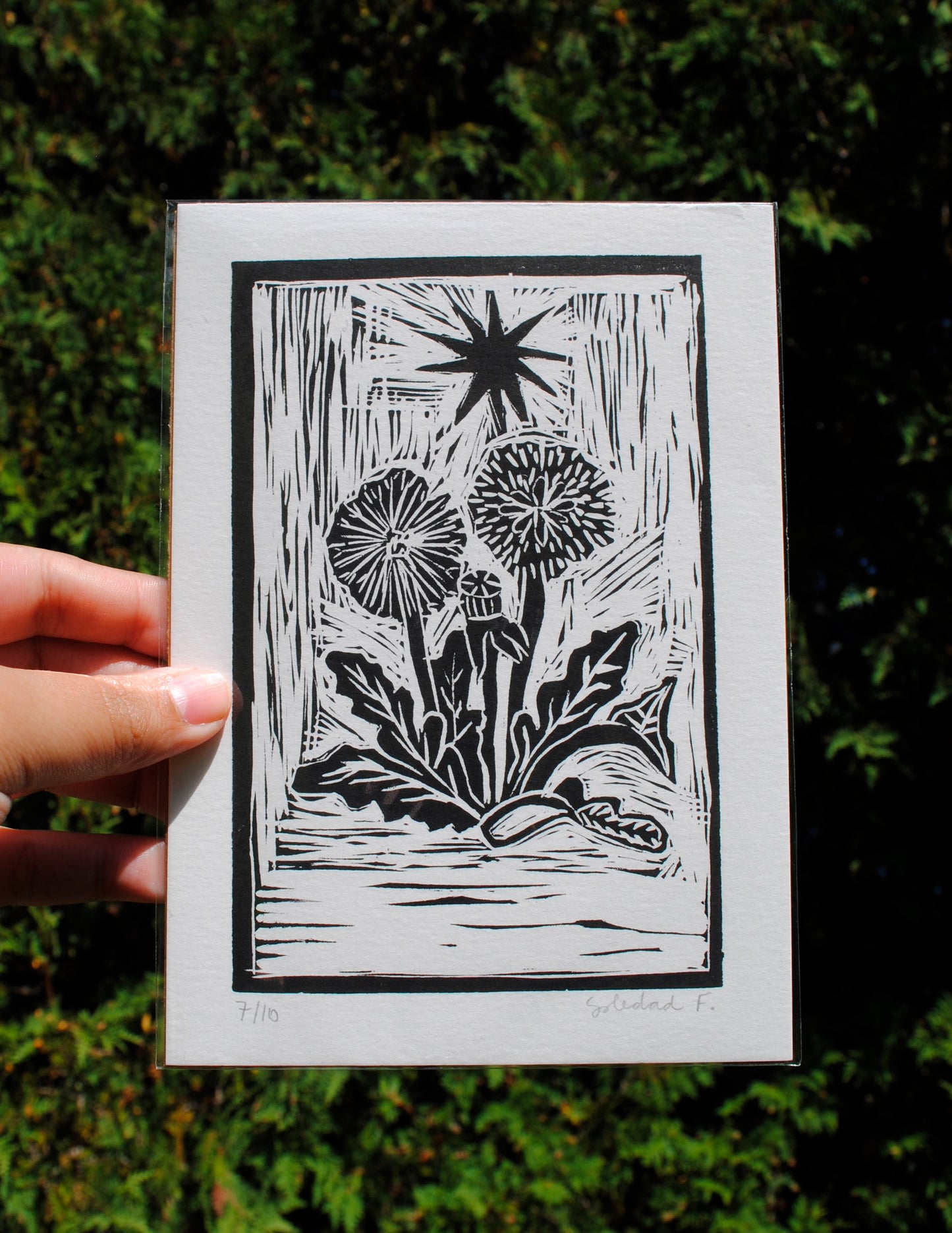 Dandelion - Linocut Print
