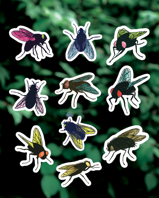 10 Little Flies - Mini Stickers