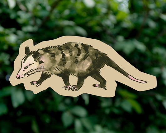 Opossum - Vinyl Sticker