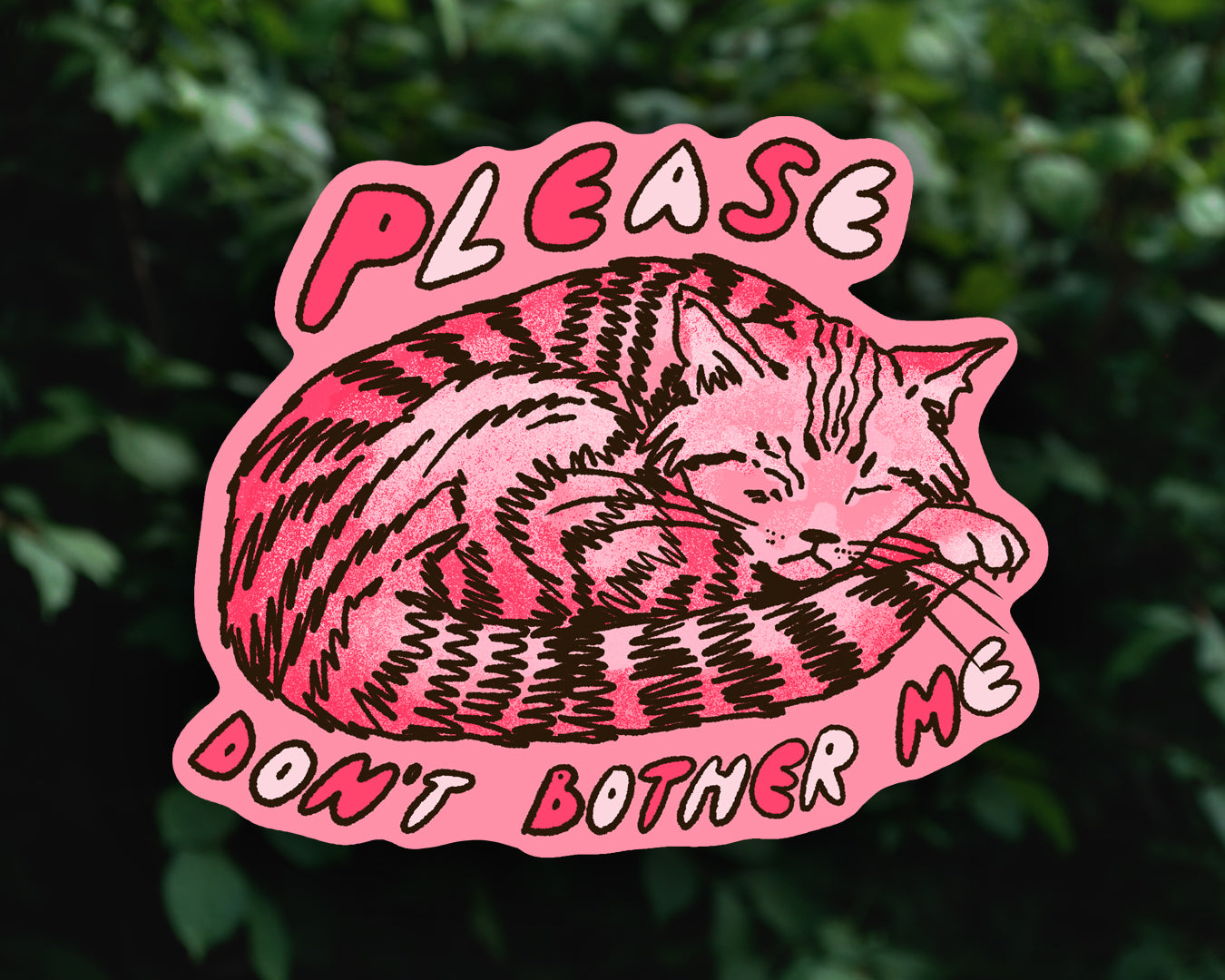 Please Don't Bother Me - Vinyl sticker