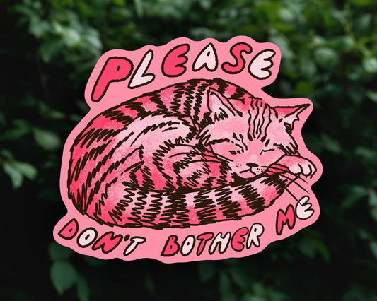 Please Don't Bother Me - Vinyl sticker