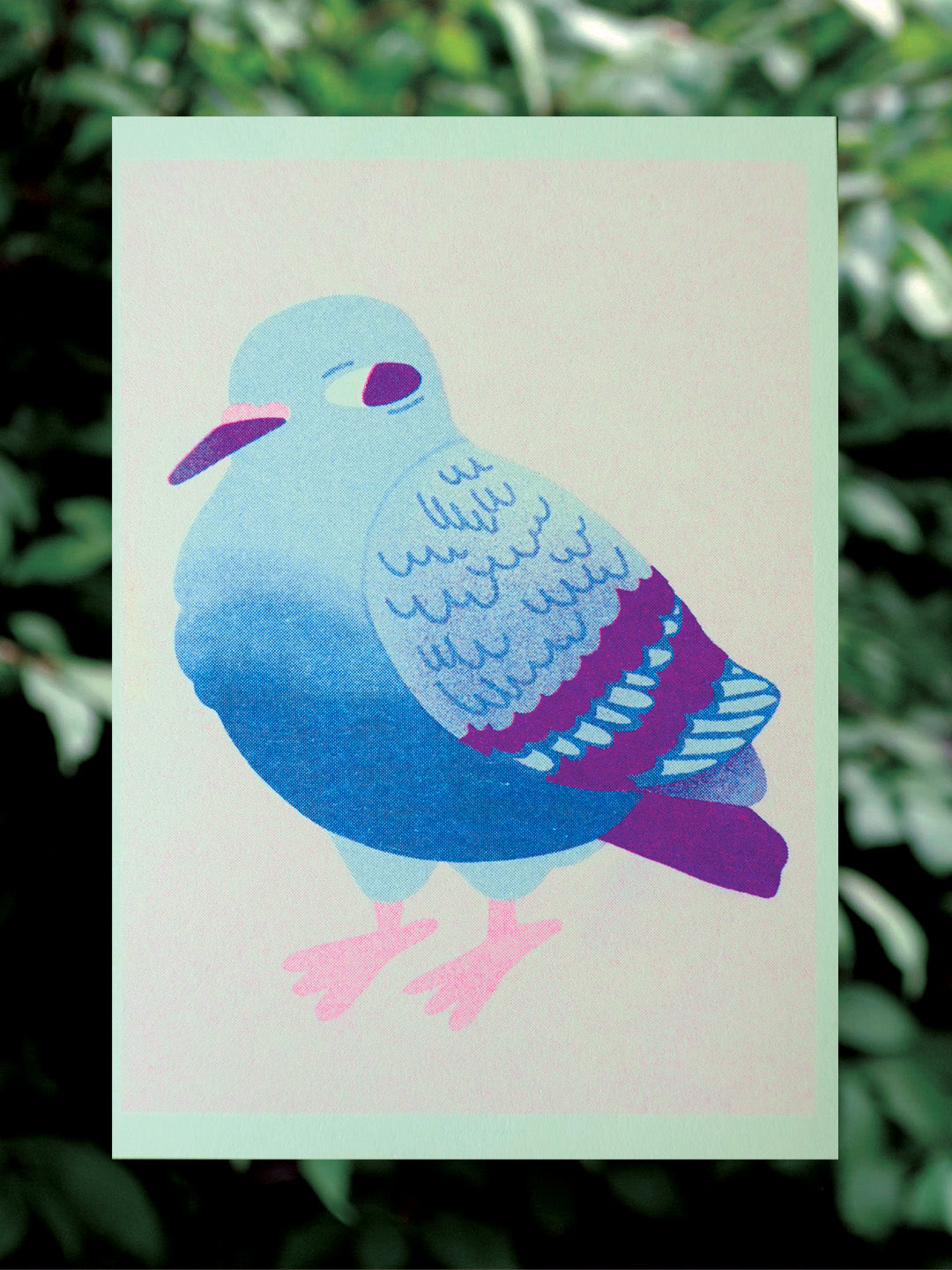Pigeon - Riso Print