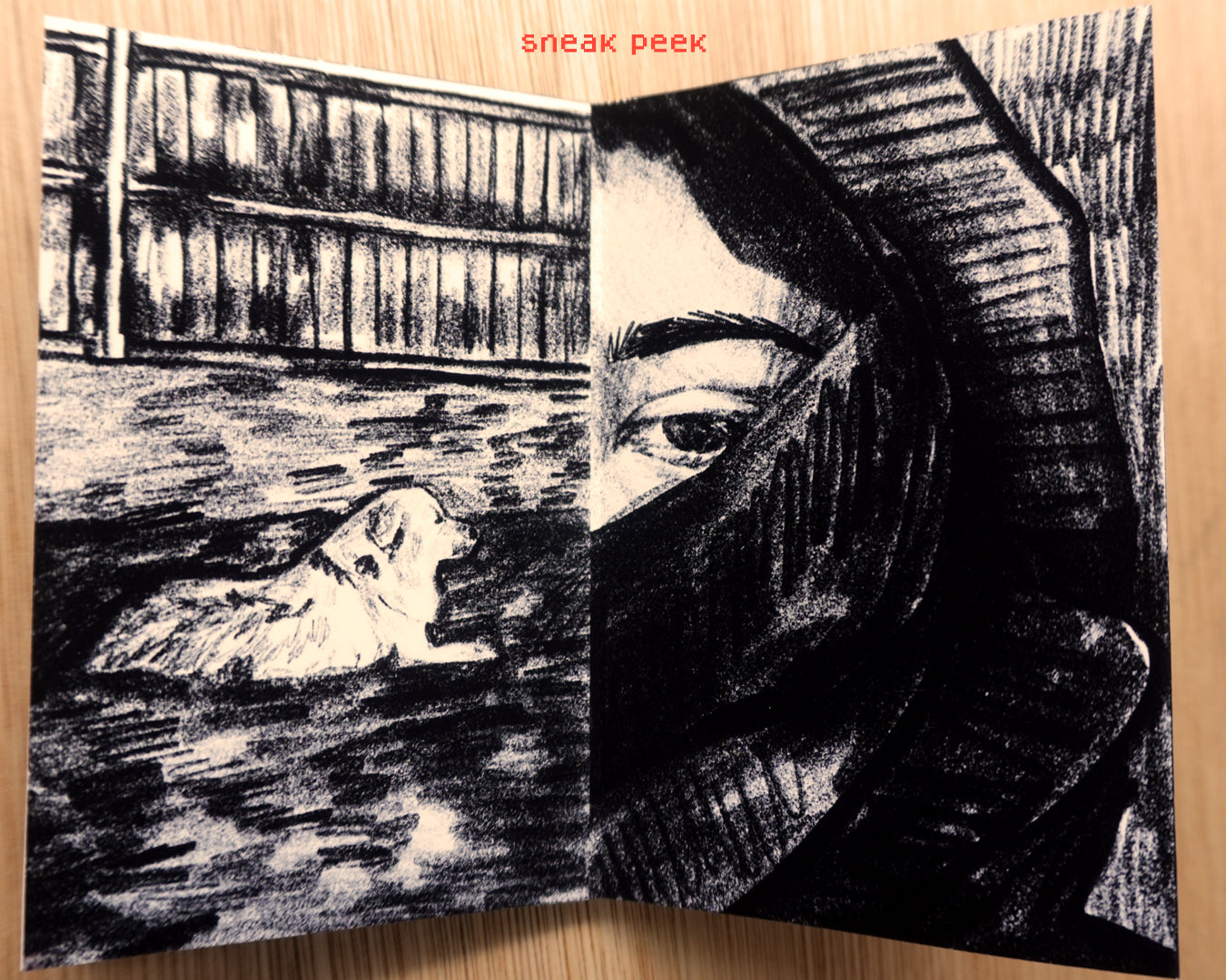 Cotidiano - Zine