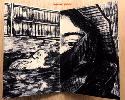 Cotidiano - Zine